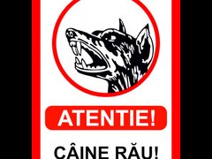 Indicator atentie caine rau